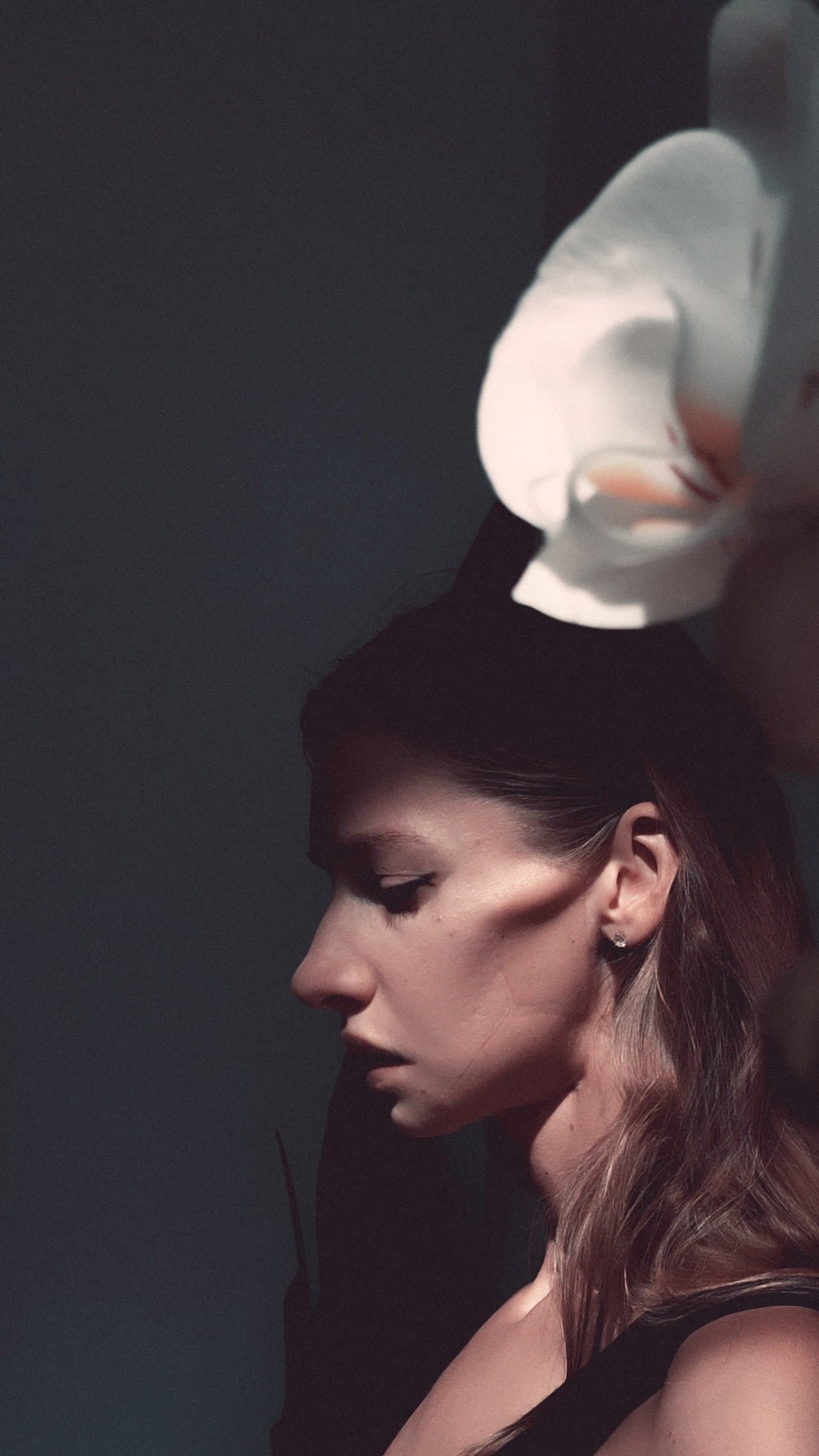 Gallery image 17 of Elisaveta Bulokhova