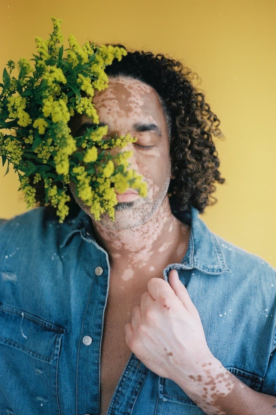 Gallery image 17 of Omar Sharife